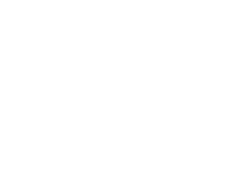 ArtisticaPatagonia